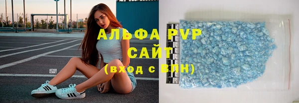 прущие грибы Наволоки