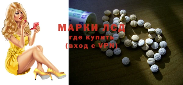 прущие грибы Наволоки