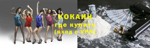 прущие грибы Наволоки