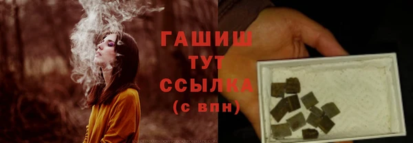 прущие грибы Наволоки