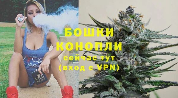 прущие грибы Наволоки