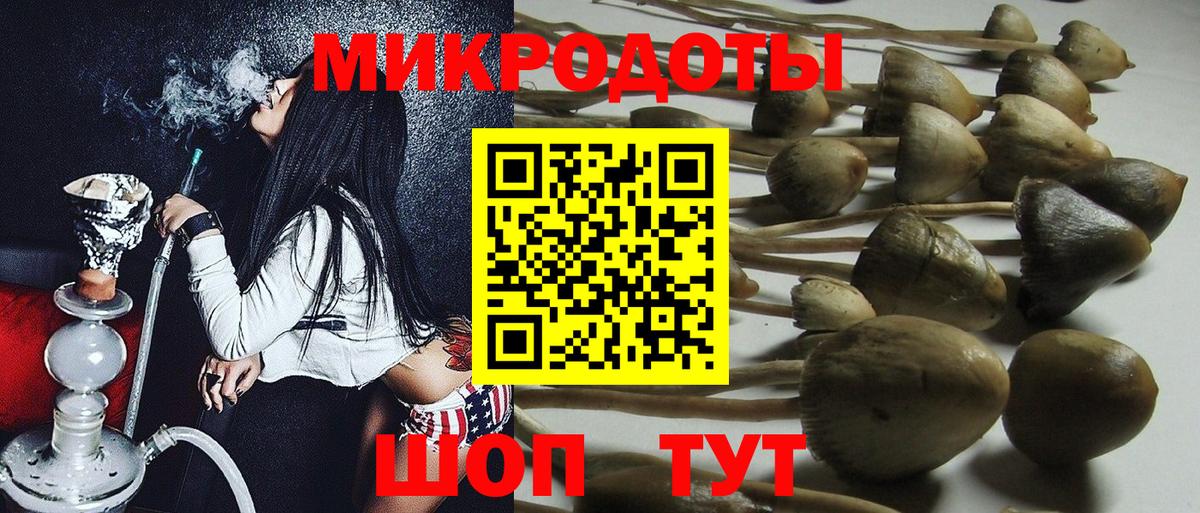 Псилоцибиновые грибы Psilocybine cubensis  Кировск 