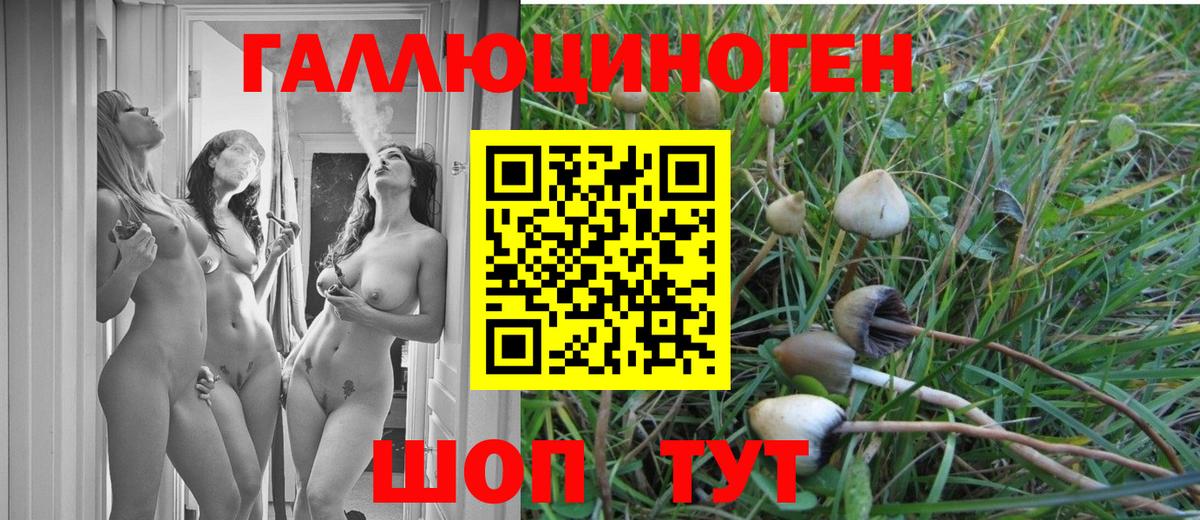Галлюциногенные грибы мухоморы  как найти закладки  Кировск  Вход с VPN 