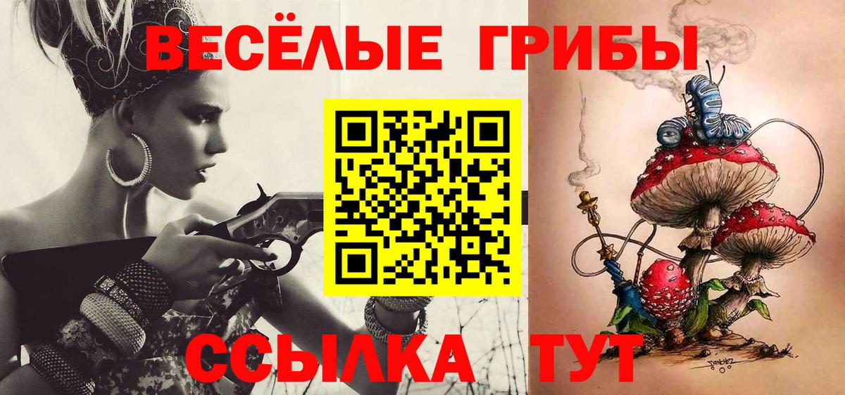 Псилоцибиновые грибы GOLDEN TEACHER Кировск